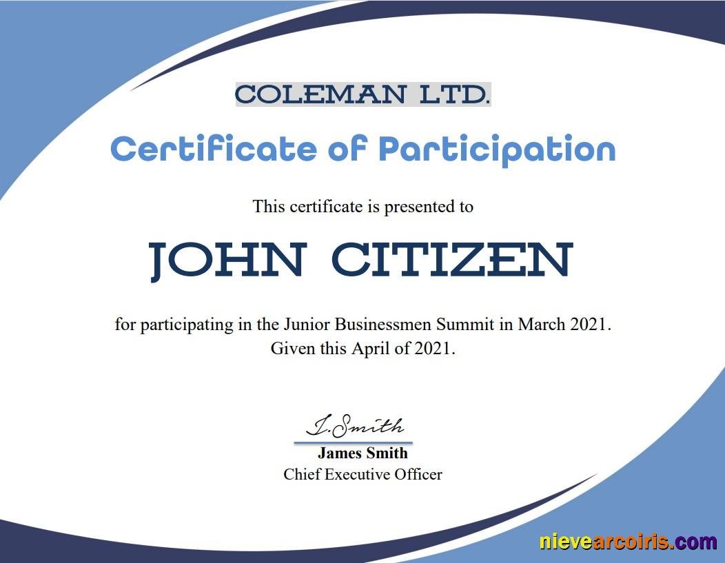 USA Program Participation certificate